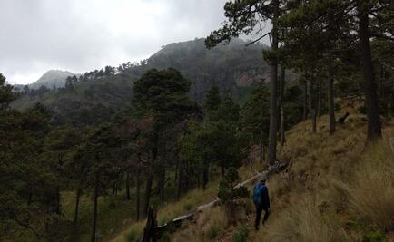 ​Asaltan a dos excursionistas en faldas del volcán Iztaccíhuatl
