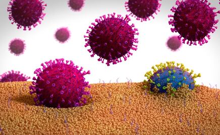 Mutaciones del coronavirus: ¿cómo será su evolución?