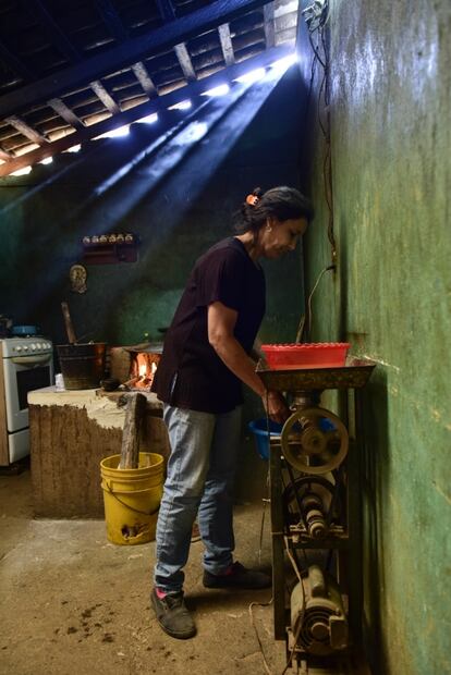 Maíz y nixtamal en Santiago de Pinos, Jalisco