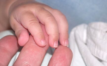 El sentido del tacto surge en el cerebro antes del nacimiento