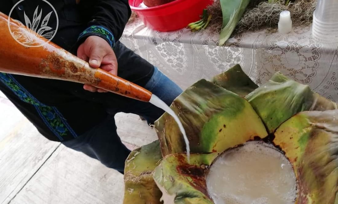 Foto: Colectivo MagueyArte