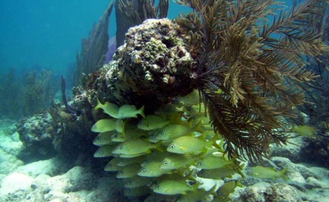 Archivo/EL UNIVERSAL