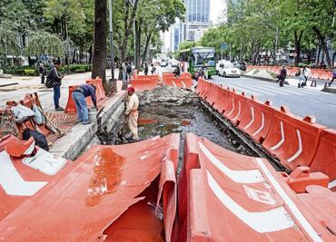 Autobuses de L7 del Metrobús obligan a importar diesel