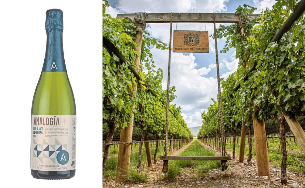 Aprender sobre vino mexicano, es ideal para cualquier sommelier. Foto: Especial