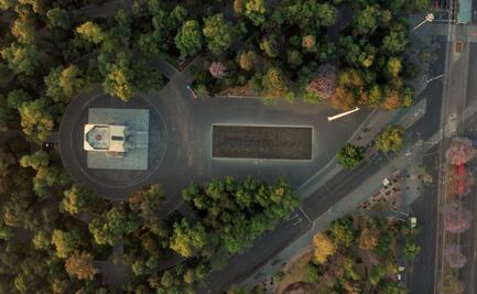 El mundo sin humanos. La vista desde un dron
