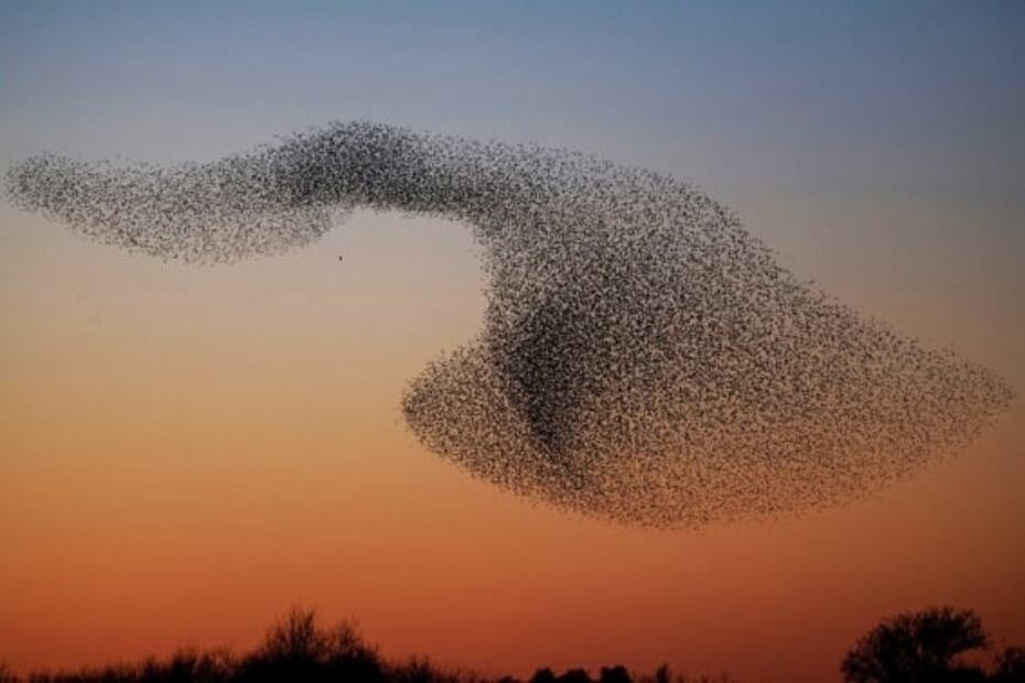 Llegó el Otoño. Mitos, fenómenos naturales y celebraciones de la temporada