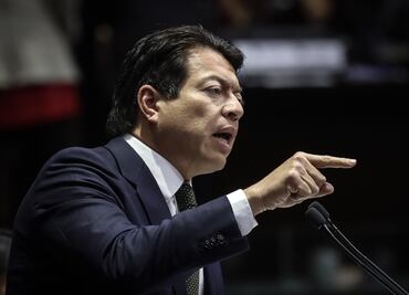 Senado debe “mejorar” dictamen sobre Guardia Nacional: Mario Delgado