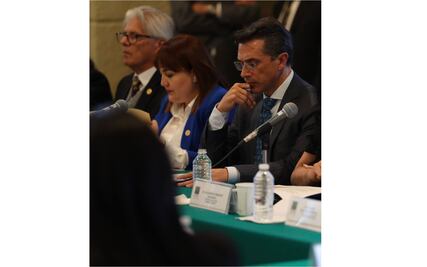 Buenos deseos de los diputados para 2020 ¿pero posibles?