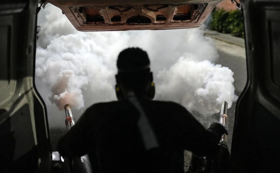 Hasta el 26 de marzo, se registraron en América Latina más de 3.5 millones de casos de dengue, incluidas más de 1.000 muertes, afirmó la OPS. Foto: AP