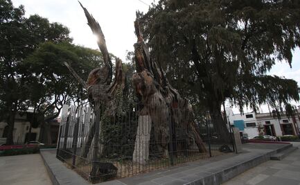 “No hay nada de alegre en la Noche Triste”: especialista