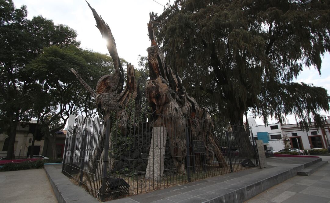 Foto: archivo El Universal