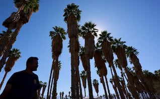 Ola de calor rompe récords históricos en EU; expertos advierten que se expande a todo el país