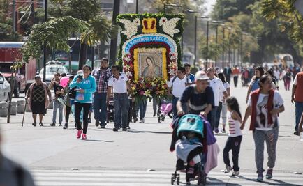 Abandonan a "perros peregrinos" en la Basílica de Guadalupe