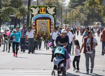 Abandonan a "perros peregrinos" en la Basílica de Guadalupe