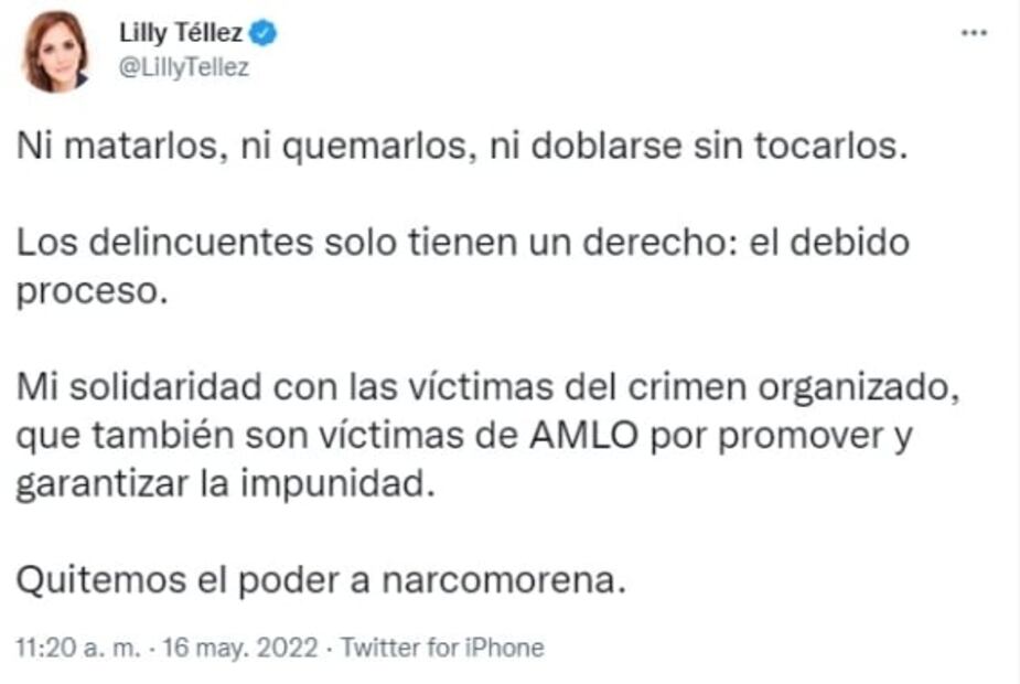 Lilly Téllez llama a quitar poder a "narcomorena" tras dichos de AMLO sobre cuidar a delincuentes 