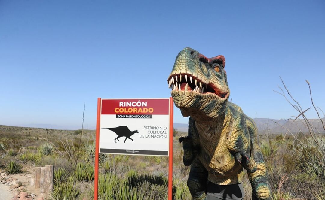 La primera zona paleontológica de México abrió al público en 2018. Foto: INAH