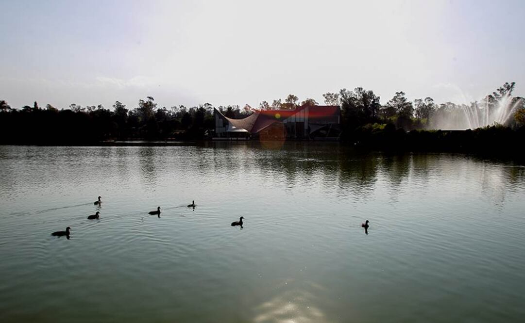 (Foto: Archivo / EL UNIVERSAL)