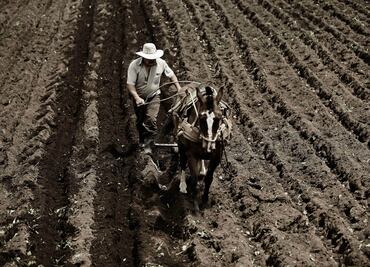Zonas rurales de Barbados, Belice y Panamá con mejor conectividad que el campo de México: IICA