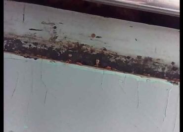 Piden fumigar el Metro tras viralizarse supuesta presencia de chinches