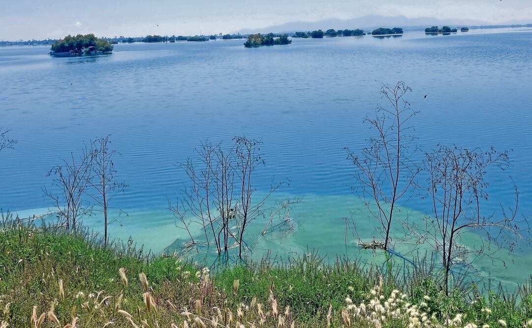 La Laguna de Zumpango es una de las áreas a intervenir. Foto: Archivo EL UNIVERSAL