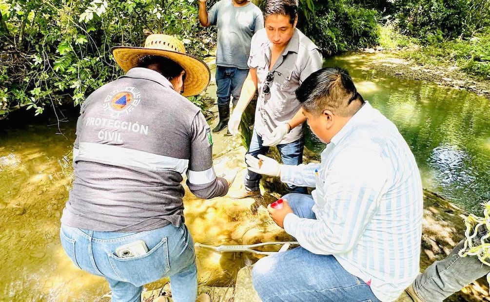 Se tomaron muestras de agua, sedimento y ejemplares afectados, que serán analizadas en laboratorio para determinar las causas. Foto: Especial