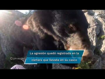  Montañista se defiende a patadas de ataque de un oso