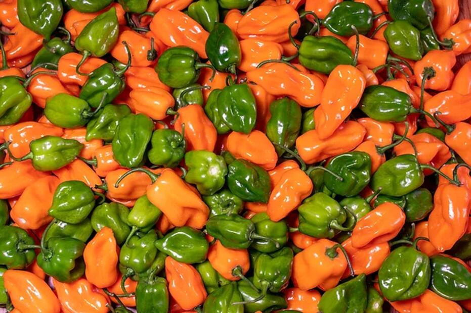 El chile más picoso