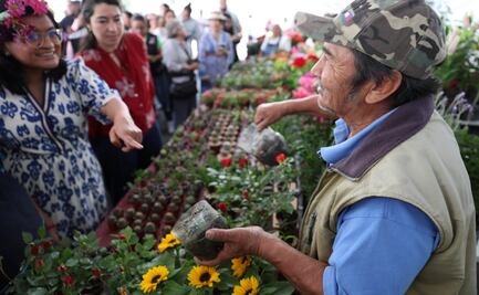 Feria de las Flores 2025 recibe a más de 30 mil personas en su primer fin de semana; cultura, música y tradición llenan Álvaro Obregón