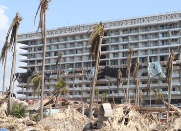 Desde salvar al ajolote hasta apoyos por huracanes; mexicanos apoyan con 112 mdp campañas en 6 meses, dice Gofundme