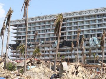 Desde salvar al ajolote hasta apoyos por huracanes; mexicanos apoyan con 112 mdp campañas en 6 meses, dice Gofundme