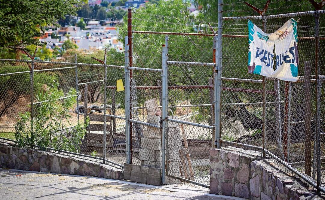 En una inspección realizada a finales de noviembre, la Profepa descubrió la ausencia de ocho antílopes, dos avestruces y un primate. Foto: Luis Camacho | El Universal