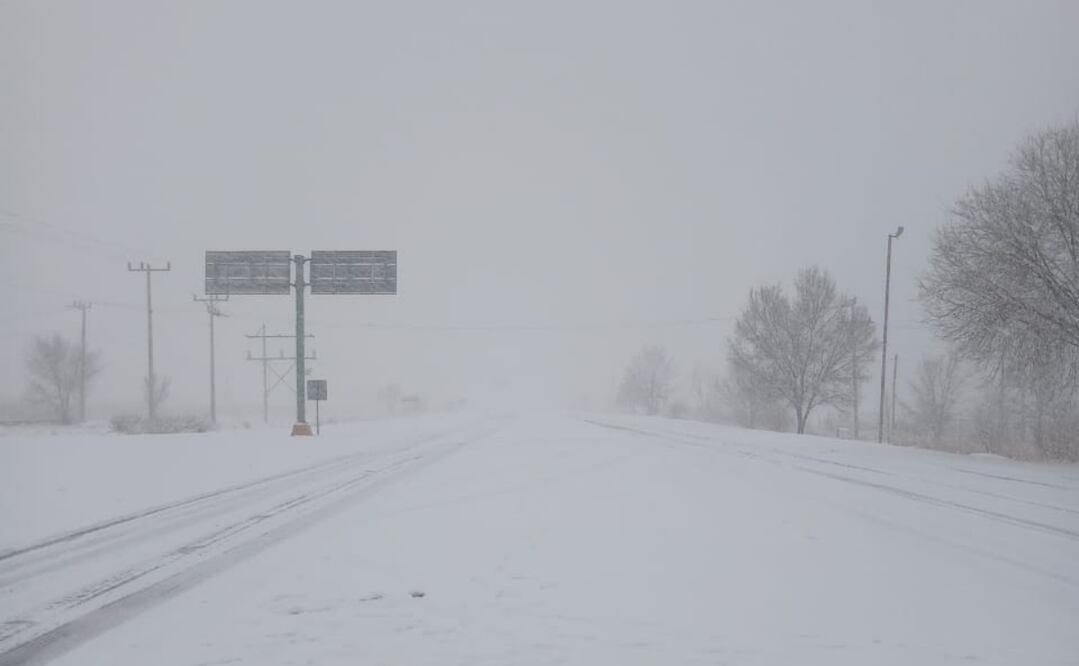 Las intensas nevadas son generadas por la segunda tormenta invernal que afecta al país. Foto: Especial
