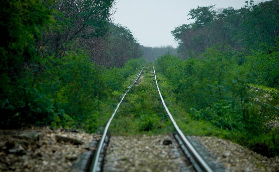 Se encarecen en 70 mil mdp Tren Maya y Suburbano. Foto: Archivo/EL UNIVERSAL.