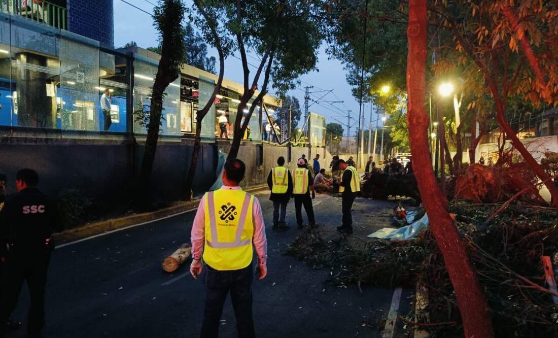 Caída de árbol sobre las vías del Tren Ligero en la estación La Noria (02/05/2025). Foto: Especial