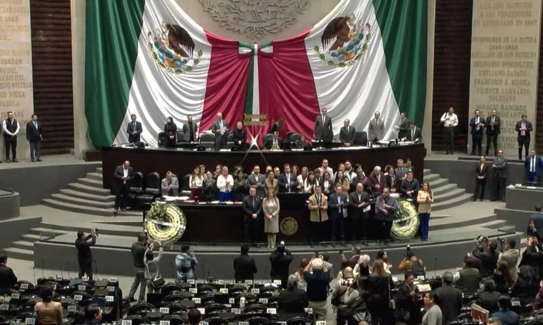 Diputados rinden minuto de silencio. Foto: Especial