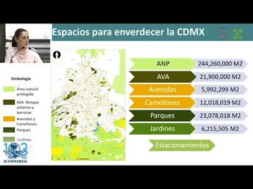 Sheinbaum presenta Programa de Reforestación de la Ciudad de México