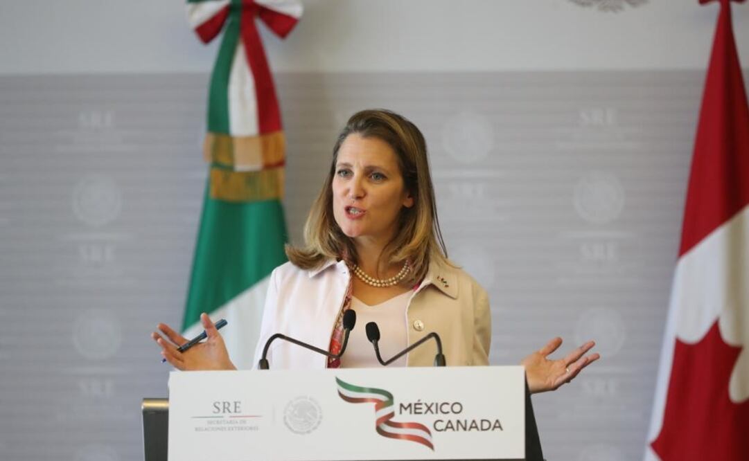 (Fotografía: Lucía Godínez/ EL UNIVERSAL )