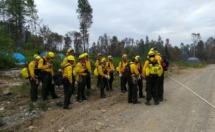 Despiden a 22 empleados de la Conafor en Tamaulipas