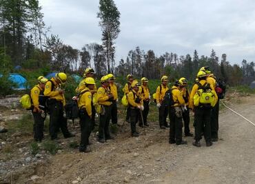 Despiden a 22 empleados de la Conafor en Tamaulipas