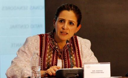 Eliminar fuero no es suficiente para combatir la impunidad: Martha Tagle