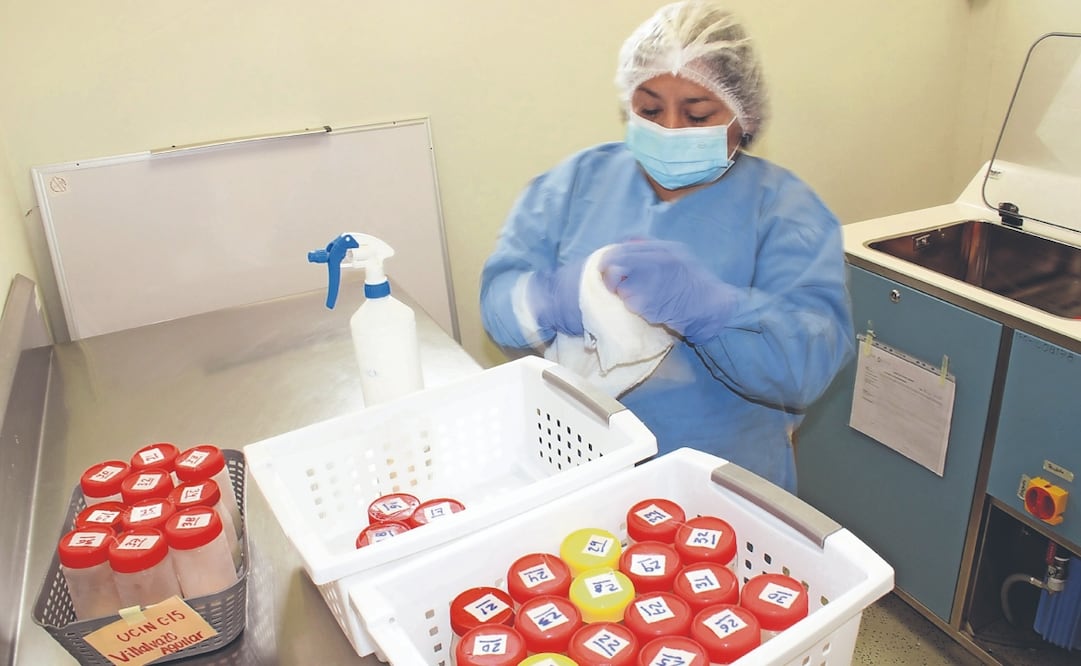 La leche se almacena en los llamados bancos para después distribuirla entre bebés hospitalizados. Foto: Especial