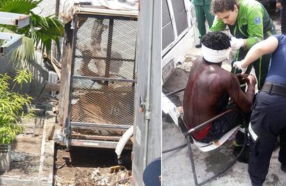 Tigre ataca a una persona en Guadalupe, Nuevo León