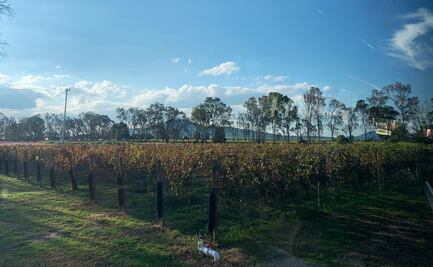 El Refugio: una bodega con alma otomí