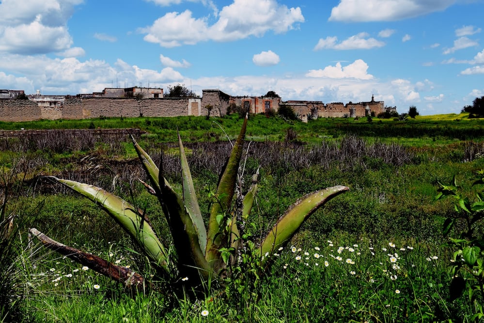 Dicen que entre sus ruinas aún deambulan espíritus de personas que habitaron la hacienda. Foto: Arturo Soto