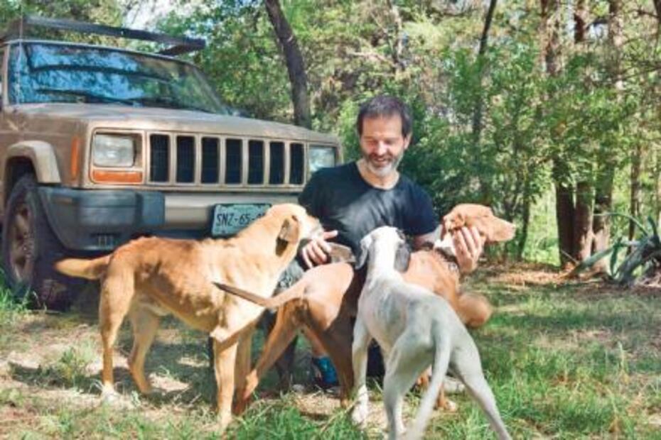 Gato Pardo. A la búsqueda de un nuevo santuario para animales