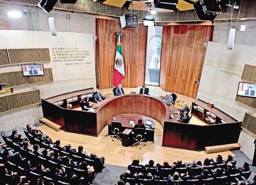 Privilegiar perfil de magistrados a TEPJF, piden