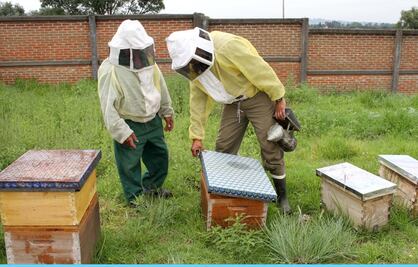 Capacita UNAM a productores apícolas de Tlaxcala