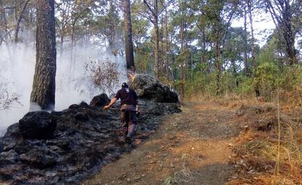 Permanecen activos tres incendios forestales en Michoacán