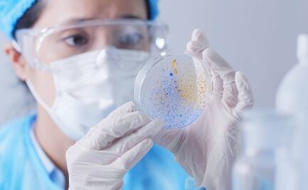 Suman 10 mil casos de brucelosis en China tras fuga de bacteria de laboratorio