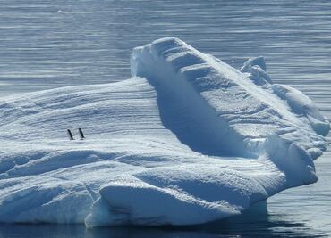 10 cosas que tal vez no sepas del Polo Norte